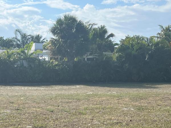 Worth Court, 4401 Washington Rd, West Palm Beach, Florida 33405, image 2