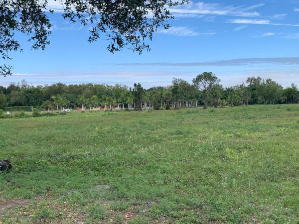 Rustic Ranches Estates, 16425 Hollow Tree Ln, Wellington, Florida 33470, image 3