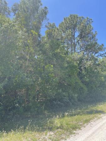 The Acreage, 17602 63rd Rd N, Loxahatchee, Florida 33470, image 1