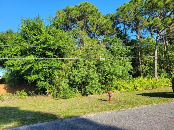 Indian River Estates, Tbd Silver Oak Dr, Fort Pierce, Florida 34945, image 1