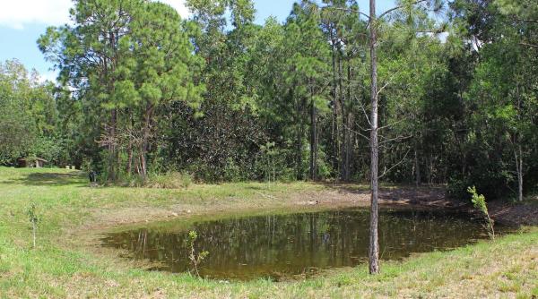 The Acreage, 13433 Tangerine Blvd, West Palm Beach, Florida 33412, image 1