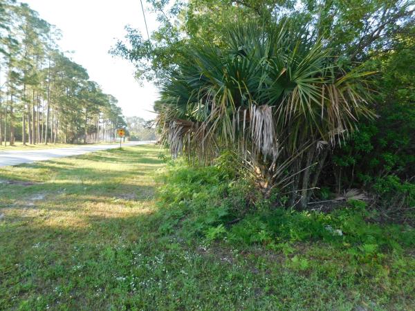 The Acreage, 15500 95th Ln N, West Palm Beach, Florida 33412, image 2