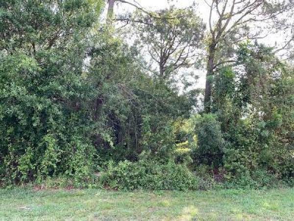 Hidden Oaks, 2571 SW Altosta St, Port St. Lucie, Florida 34953, image 2