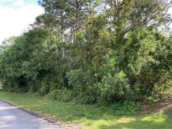 Hidden Oaks, 2571 SW Altosta St, Port St. Lucie, Florida 34953, image 1