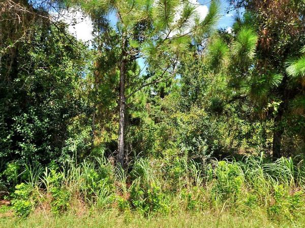 1721 SW Effland Ave, Port St. Lucie, Florida 34953, image 1