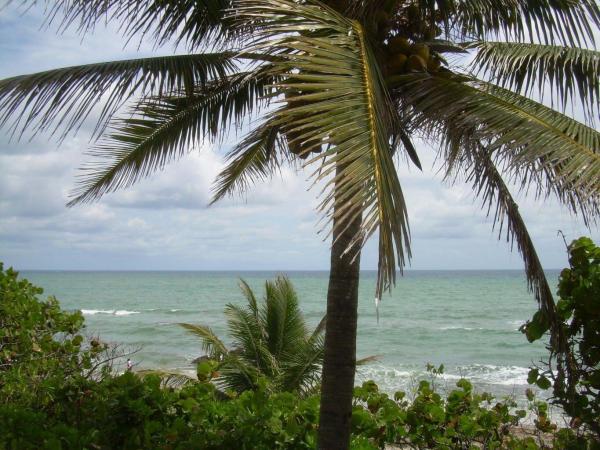 San De Vance Golf & Tennis Club, 330 NW 67th St #D105, Boca Raton, Florida 33487, image 3