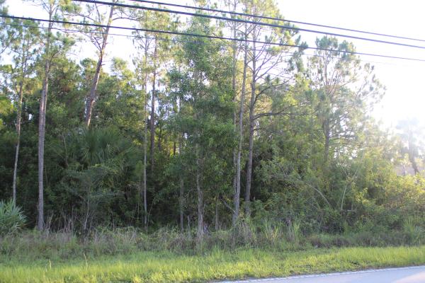 The Acreage, 18477 W Sycamore Dr, Loxahatchee, Florida 33470, image 1