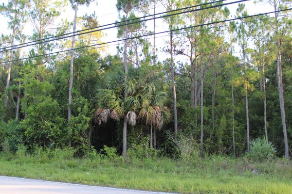 The Acreage, 18477 W Sycamore Dr, Loxahatchee, Florida 33470, image 2