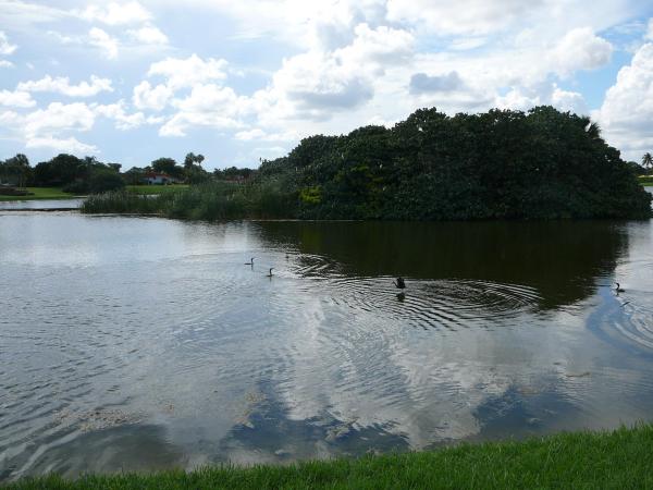 Seville At Kings Point, 95 Seville F, Delray Beach, Florida 33446, image 2