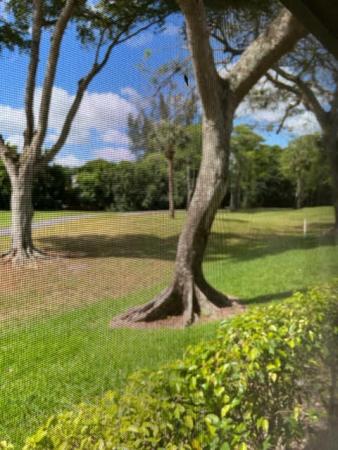 The Horizons Of Boca Lago, 8346 Cypress Ln, Boca Raton, Florida 33433, image 2