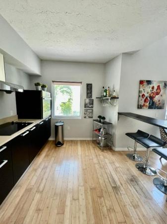 Lofts On Brickell, 1528 Brickell Ave #108, Miami, Florida 33129, image 2