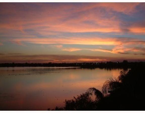 Lake Emerald, 115 Lake Emerald Dr #210, Oakland Park, Florida 33309, image 1