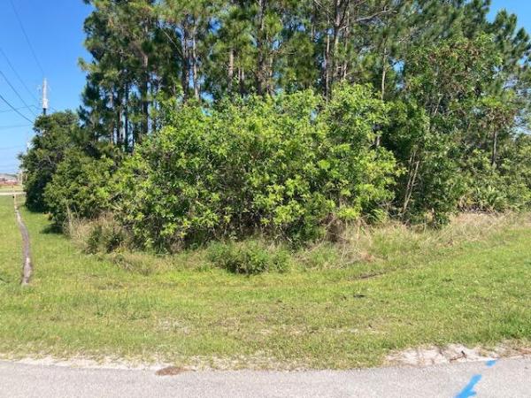 Torino, 5845 NW Whitecap Rd, Port St. Lucie, Florida 34986, image 1