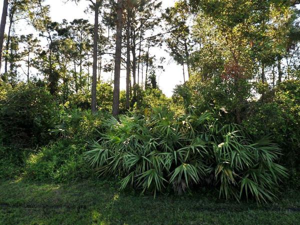 Bayshore Heights, 1610 SE Shepard Ln, Port St. Lucie, Florida 34983, image 1