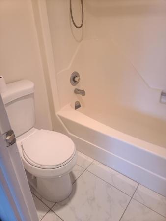 Golden Lakes Village, 352 Lake Frances Dr, West Palm Beach, Florida 33411, image 2