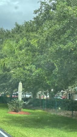 High Point Of Fort Pierce, 908 Savannas Point Dr, Fort Pierce, Florida 34950, image 1