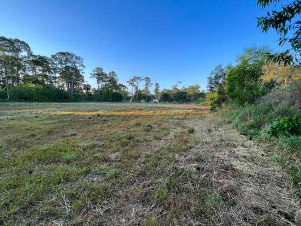 The Acreage, 12314 Tangerine Blvd, West Palm Beach, Florida 33412, image 1
