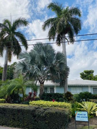 Lake Worth Town, 1111 S Lakeside Dr, Lake Worth Beach, Florida 33460, image 1