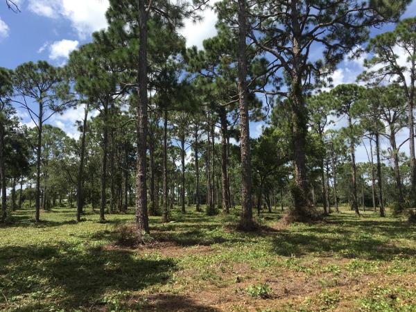 Fort Pierce Residential, 357 Smallwood Ave, Fort Pierce, Florida 34982, image 1