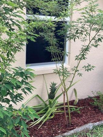 867 Worcester Ln, Lake Worth, Florida 33467, image 1