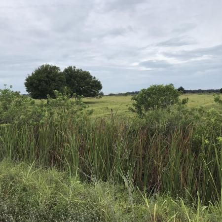Tbd Orange Ave #1, Fort Pierce, Florida 34945, image 1