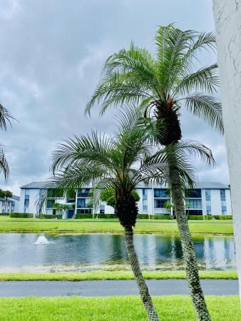 The Palm Club, 1013 Green Pine Blvd #C1, West Palm Beach, Florida 33409, image 3