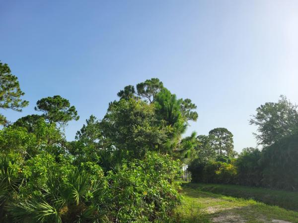 The Acreage Residential, Xxxxx 87, The Acreage, Florida 33470, image 2