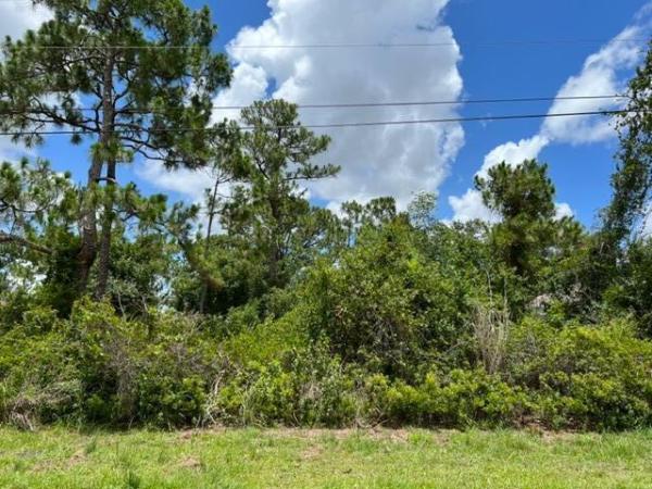 Rosser Reserve, 2049 SW Fears Ave, Port St. Lucie, Florida 34953, image 1
