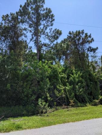 Torino, 6120 NW Densaw Ter, Port St. Lucie, Florida 34986, image 1