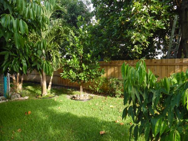 Lake Worth Town, 623 S E St, Lake Worth Beach, Florida 33460, image 1