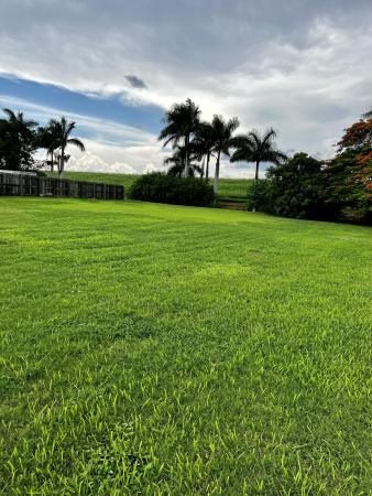 Pahokee No HOA, 2179 Bacom Point Rd, Pahokee, Florida 33476, image 2