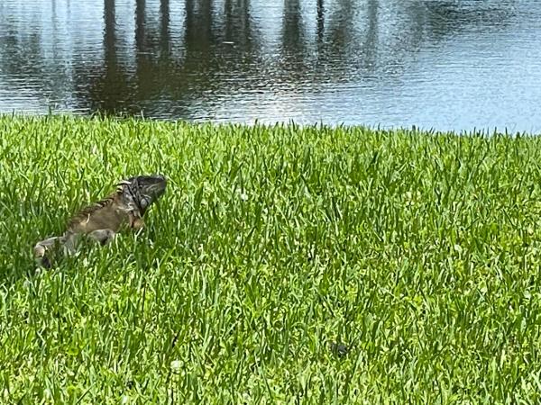 Hythe At Century Village, 1052 Hythe C, Boca Raton, Florida 33434, image 1