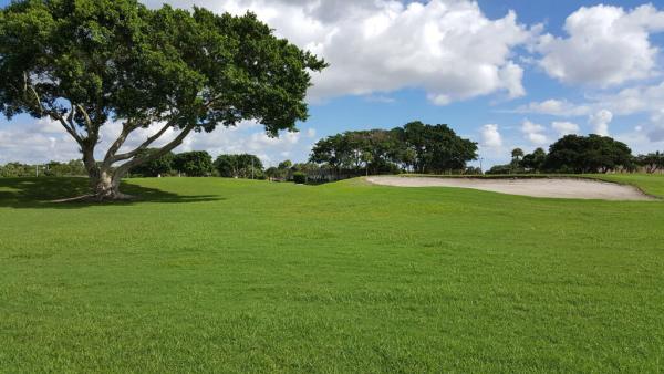 Waterford At Kings Point, 63 Waterford C, Delray Beach, Florida 33446, image 2
