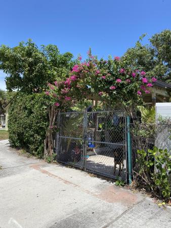 Northwood, 5212 Pinewood Ave, West Palm Beach, Florida 33407, image 3