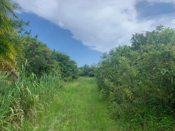 Santa Rosa Groves, 20638 Simone Dr, Loxahatchee, Florida 33470, image 2