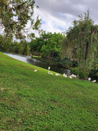Cloister Pointe, 202 Sparrow Dr #1, Royal Palm Beach, Florida 33411, image 1