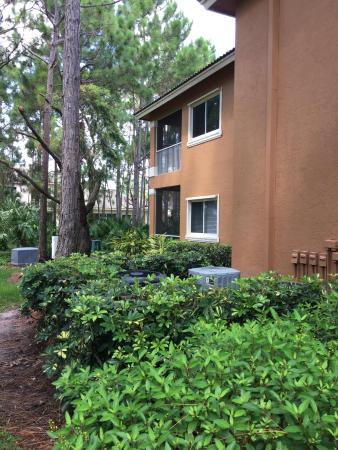 Castle Pines, 8917 Sandshot Ct #5411, Port St. Lucie, Florida 34986, image 3