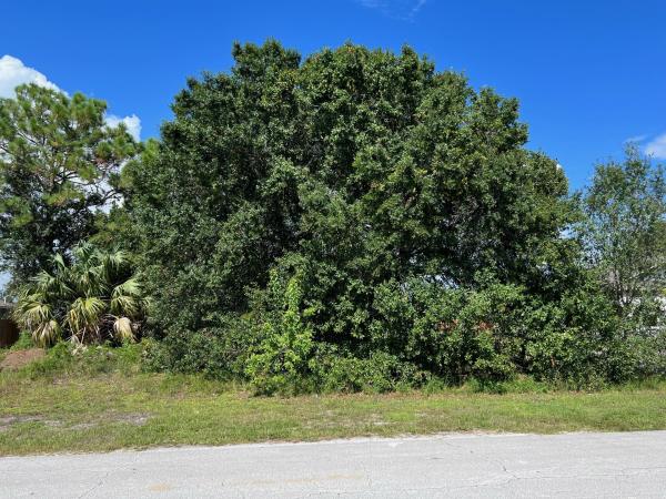 Oak Hammock, 2155 SW Idaho Ln, Port St. Lucie, Florida 34953, image 2