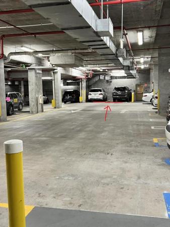 Colonnade At Dadeland, 8395 SW 73rd Ave #313, Glenvar Heights, Florida 33143, image 2