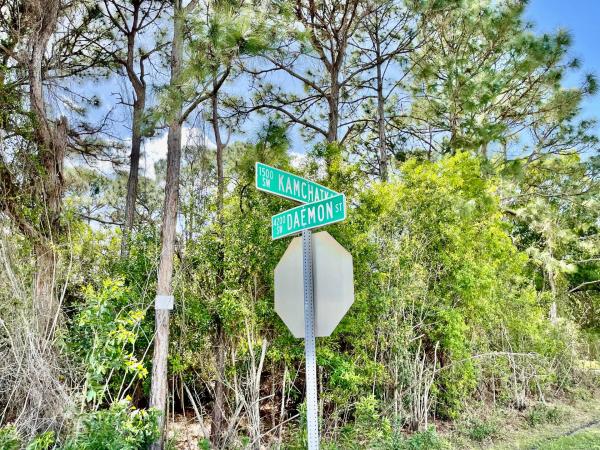 Woodland Trails, 1502 SW Kamchatka Ave, Port St. Lucie, Florida 34953, image 2