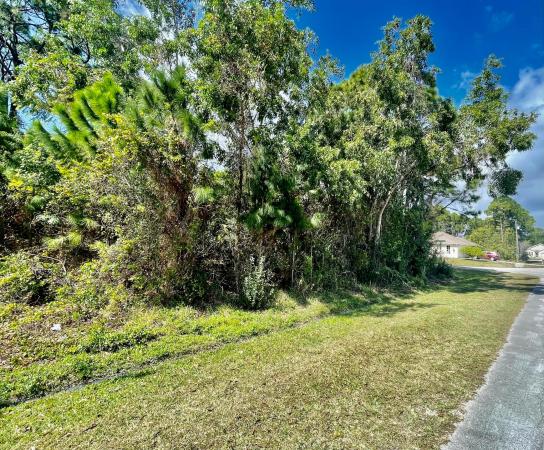 Woodland Trails, 1502 SW Kamchatka Ave, Port St. Lucie, Florida 34953, image 1