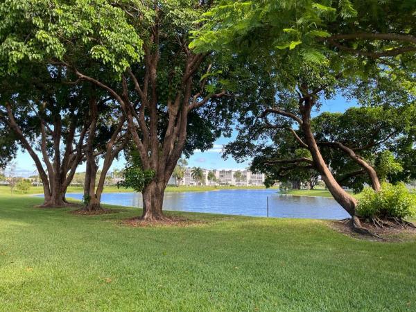 Mansfield At Century Village, 135 Mansfield D, Boca Raton, Florida 33434, image 3
