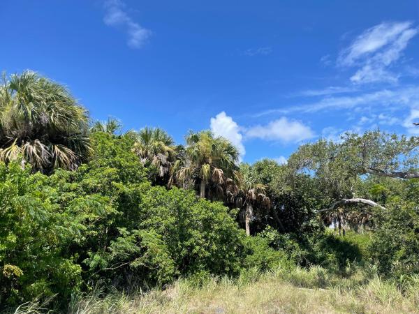 Walton Hills, 0 SE Walton Road, Port St. Lucie, FL 34957, Port St. Lucie, Florida 34957, image 1