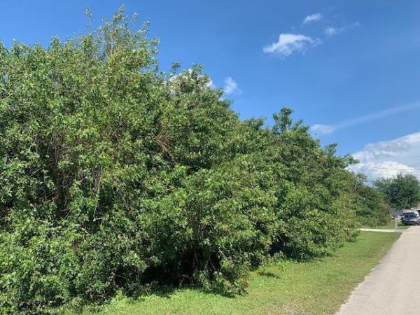 Torino, 5253 NW North Delwood Dr, Port St. Lucie, Florida 34986, image 2
