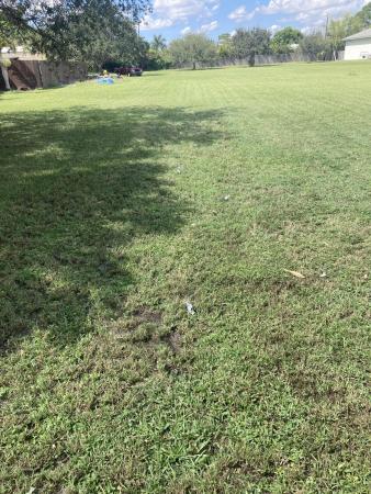 Bermuda Park, 2187 Prairie Rd, Palm Springs, Florida 33406, image 2