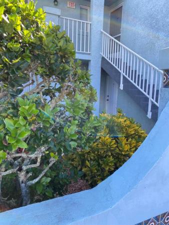 Evergreen At Port St Lucie, 1606 SE Green Acres Cir #S104, Port St. Lucie, Florida 34952, image 1
