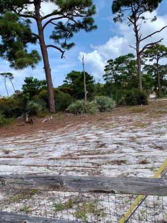 Holly House, 728 Ridge Rd #20, Lantana, Florida 33462, image 3
