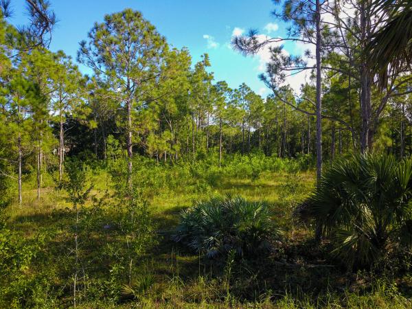 The Acreage, 16725 72nd Rd N, Loxahatchee, Florida 33470, image 2