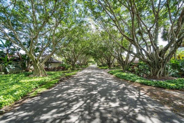 Polo Island, 2785 Polo Island Dr #J102, Wellington, Florida 33414, image 1