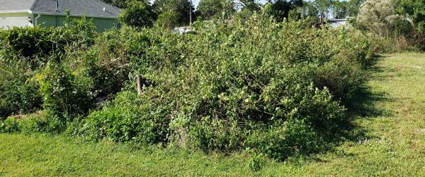 Torino, 6456 NW Fontana St, Port St. Lucie, Florida 34986, image 2